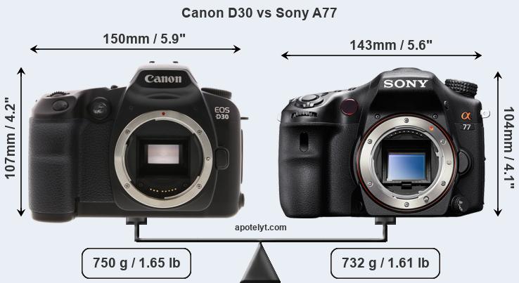Size Canon D30 vs Sony A77