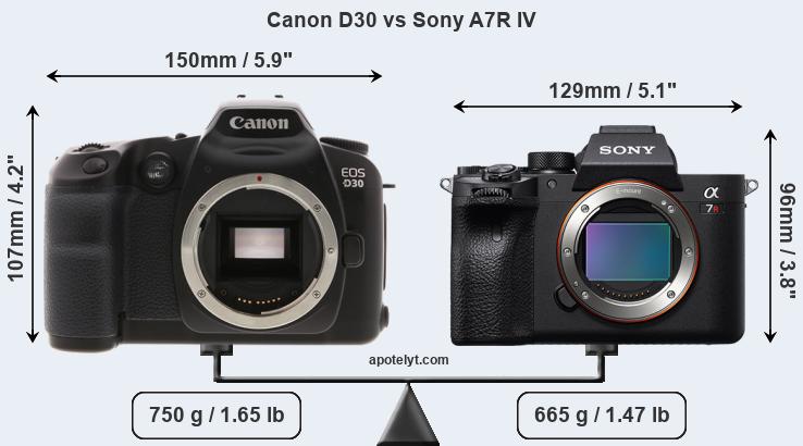 Size Canon D30 vs Sony A7R IV