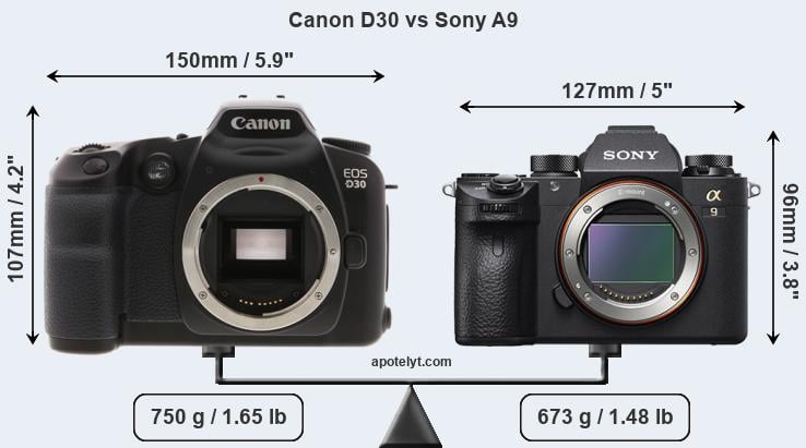 Size Canon D30 vs Sony A9