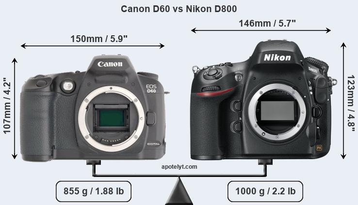 Size Canon D60 vs Nikon D800