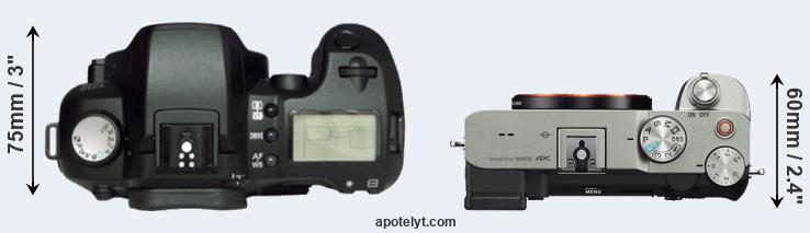 Compare D60 versus A7C top