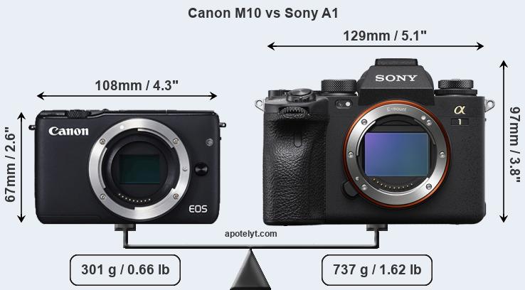 Size Canon M10 vs Sony A1
