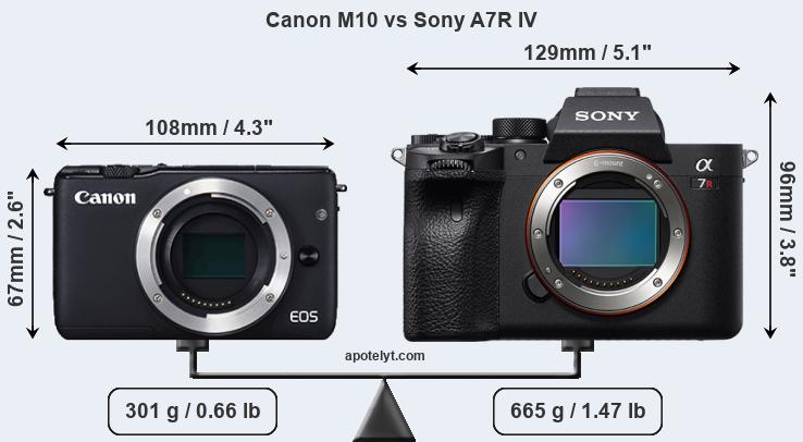 Size Canon M10 vs Sony A7R IV