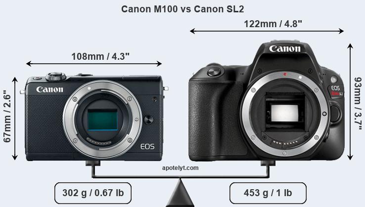 Size Canon M100 vs Canon SL2