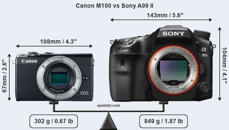 Size Canon M100 vs Sony A99 II