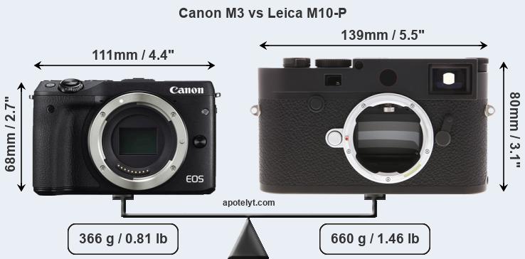 Size Canon M3 vs Leica M10-P