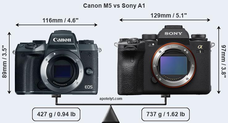 Size Canon M5 vs Sony A1