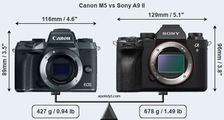 Size Canon M5 vs Sony A9 II