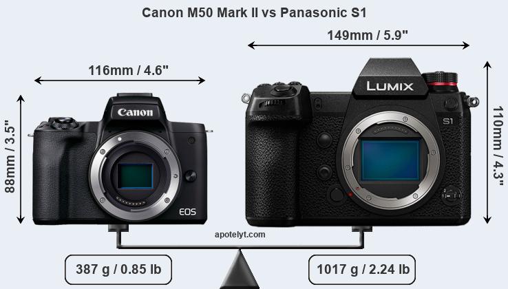 Size Canon M50 Mark II vs Panasonic S1