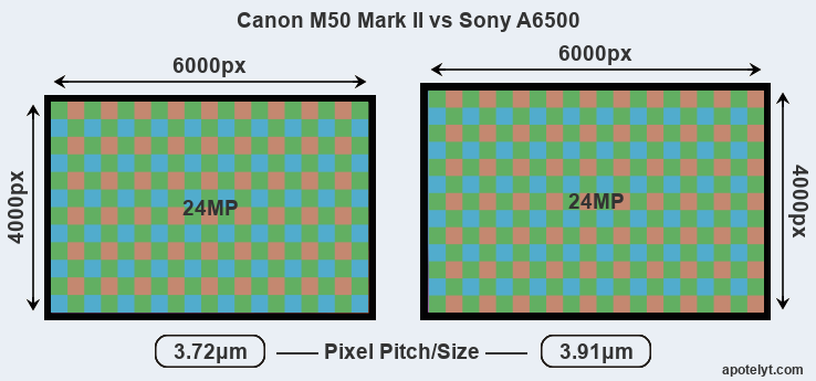 Canon M50 II vs Sony Review
