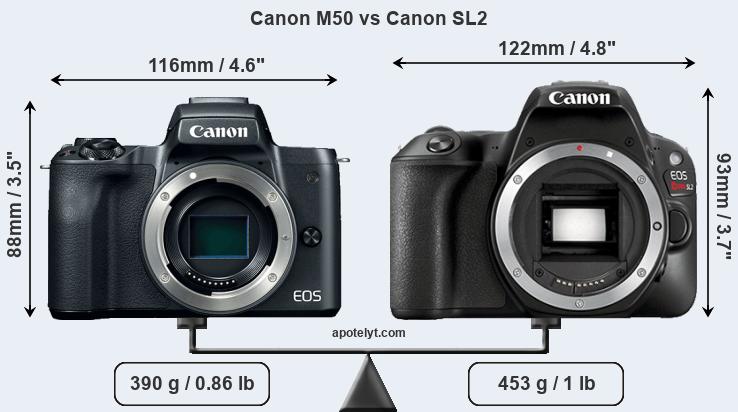Size Canon M50 vs Canon SL2