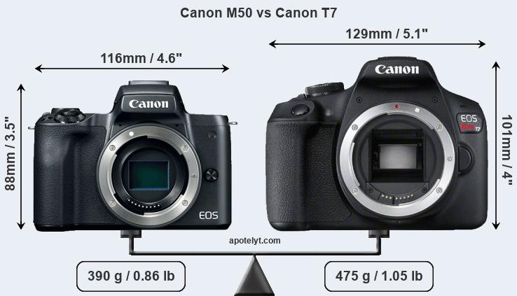 Size Canon M50 vs Canon T7