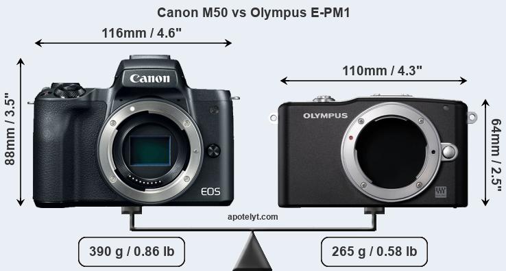 Size Canon M50 vs Olympus E-PM1