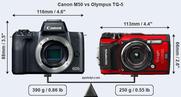 Size Canon M50 vs Olympus TG-5