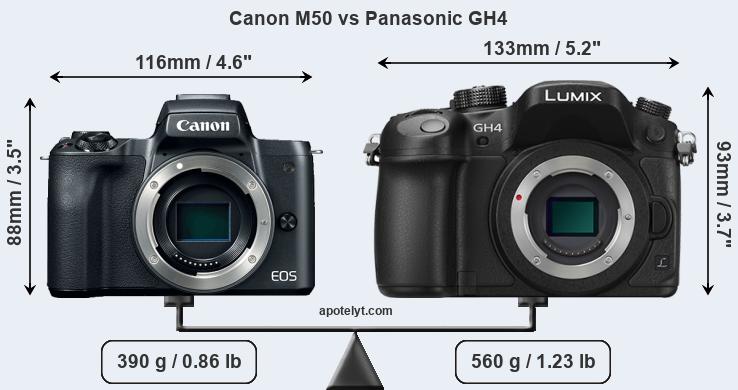 Size Canon M50 vs Panasonic GH4