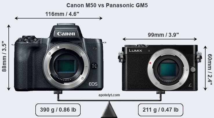 Size Canon M50 vs Panasonic GM5