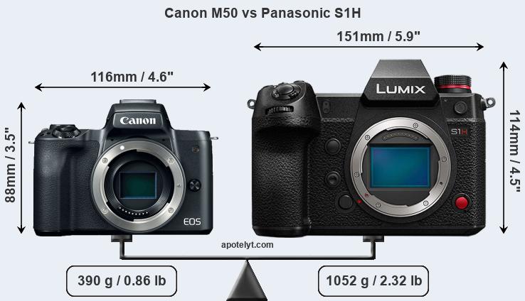 Size Canon M50 vs Panasonic S1H