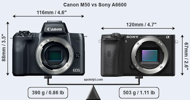 Size Canon M50 vs Sony A6600