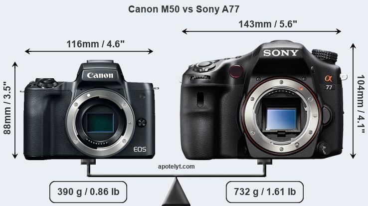 Size Canon M50 vs Sony A77
