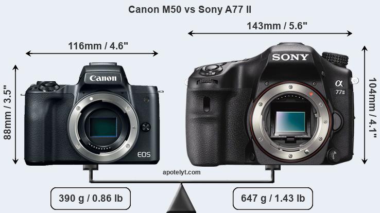Size Canon M50 vs Sony A77 II