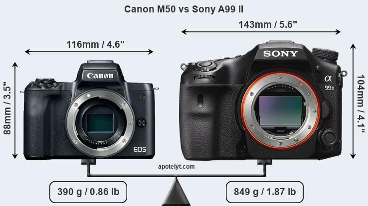 Size Canon M50 vs Sony A99 II