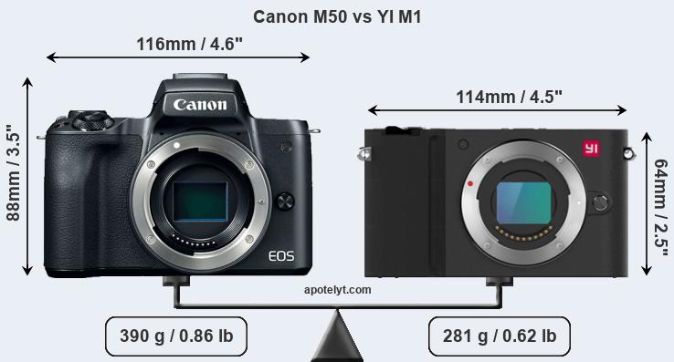 Size Canon M50 vs YI M1