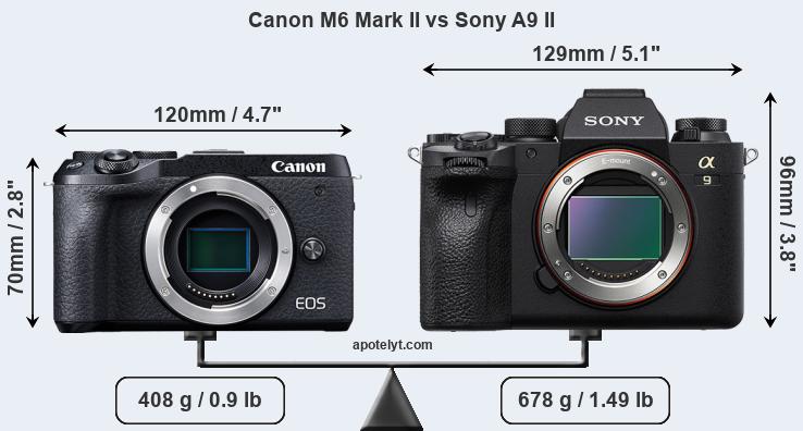 Size Canon M6 Mark II vs Sony A9 II