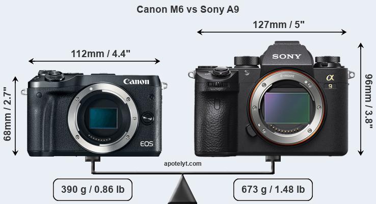 Size Canon M6 vs Sony A9
