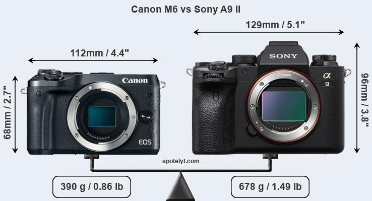 Size Canon M6 vs Sony A9 II