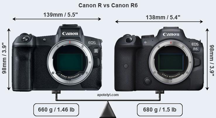 Size Canon R vs Canon R6