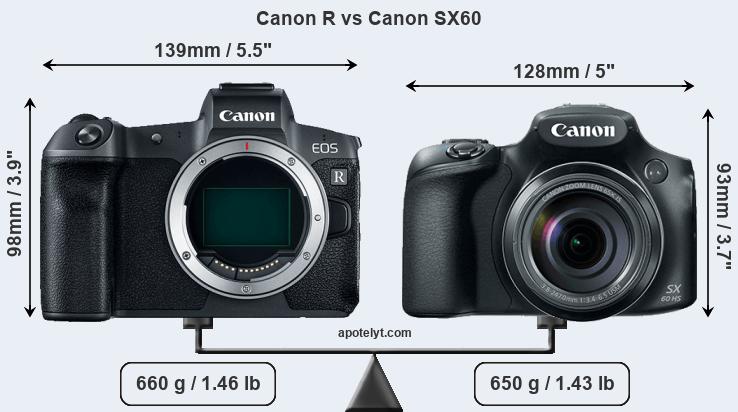 Size Canon R vs Canon SX60
