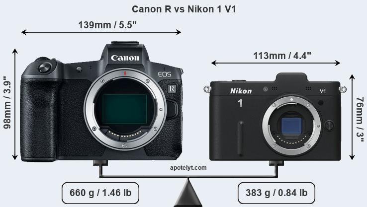 Size Canon R vs Nikon 1 V1