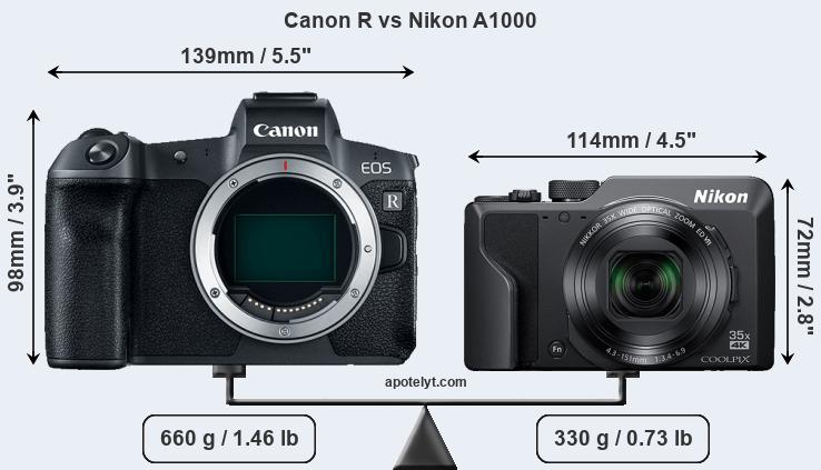 Size Canon R vs Nikon A1000