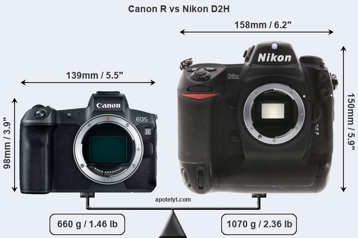 Size Canon R vs Nikon D2H
