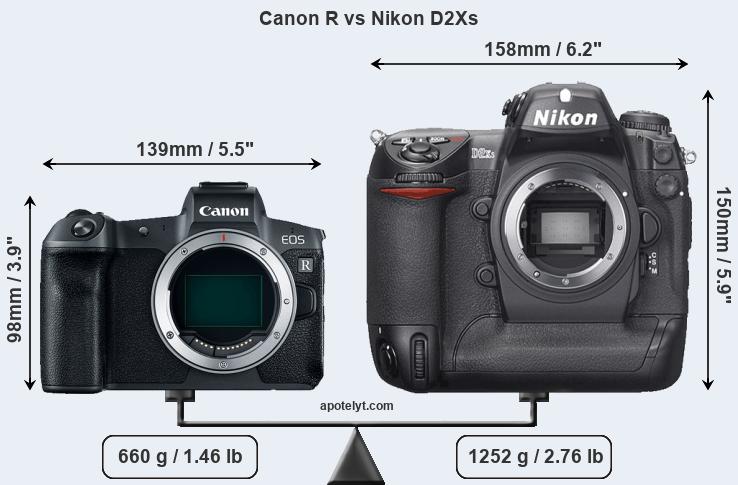 Size Canon R vs Nikon D2Xs