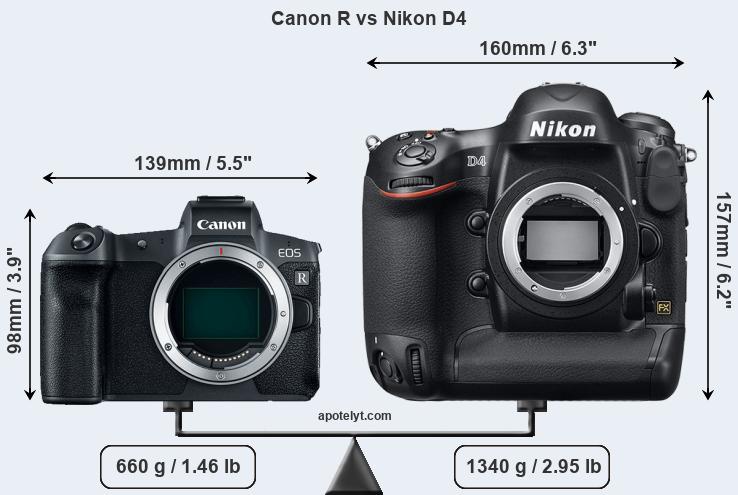 Size Canon R vs Nikon D4