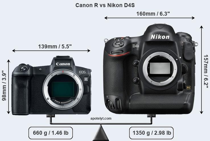 Size Canon R vs Nikon D4S