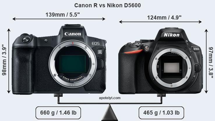 Size Canon R vs Nikon D5600