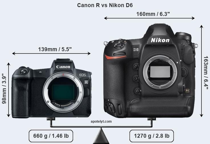 Size Canon R vs Nikon D6