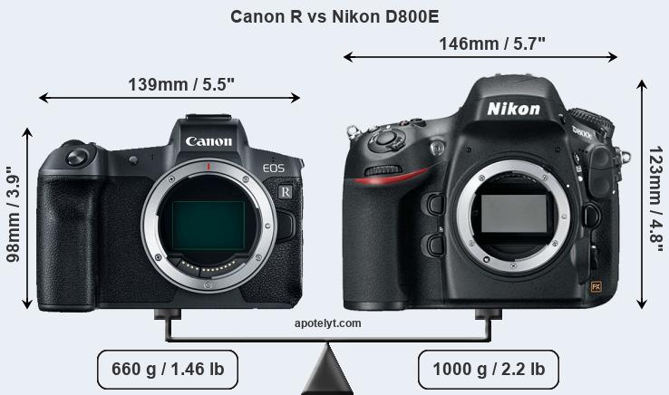 Size Canon R vs Nikon D800E