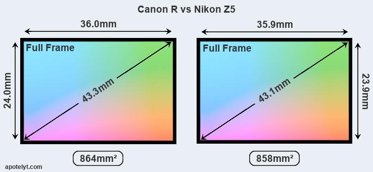 Canon R and Nikon Z5 sensor measures