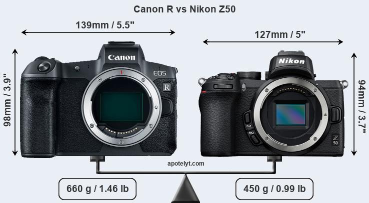 Size Canon R vs Nikon Z50