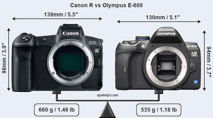 Size Canon R vs Olympus E-600