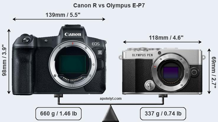 Size Canon R vs Olympus E-P7