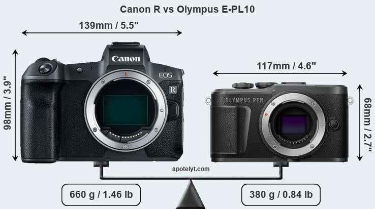 Size Canon R vs Olympus E-PL10
