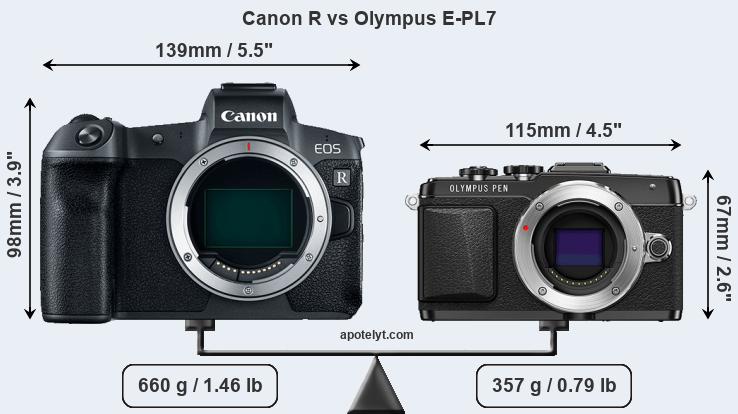 Size Canon R vs Olympus E-PL7