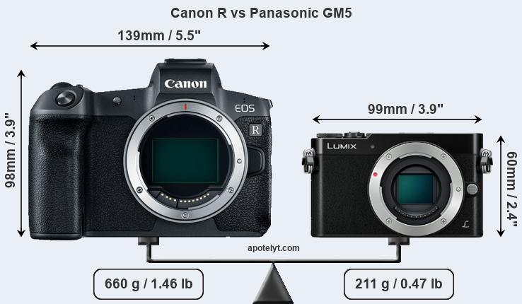 Size Canon R vs Panasonic GM5