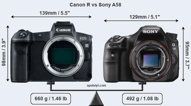 Size Canon R vs Sony A58