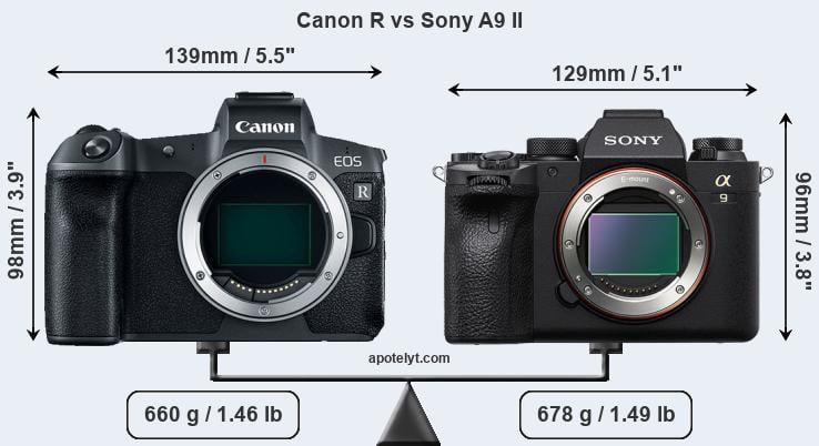 Size Canon R vs Sony A9 II