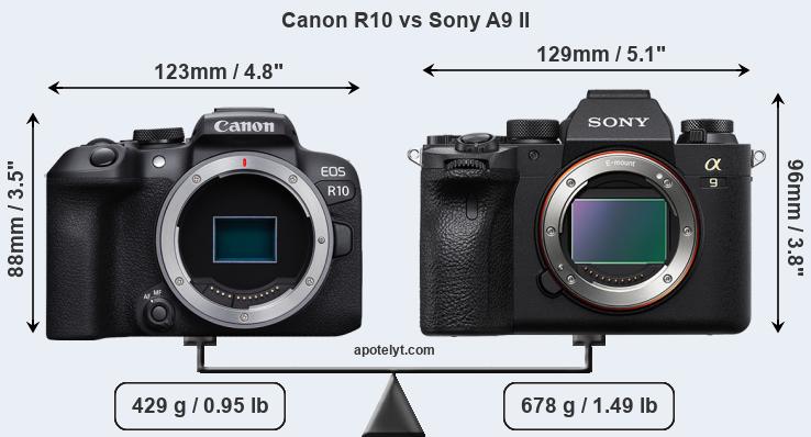 Size Canon R10 vs Sony A9 II